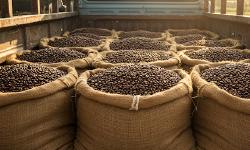 Featured image of post Coffee Sales Dashboards